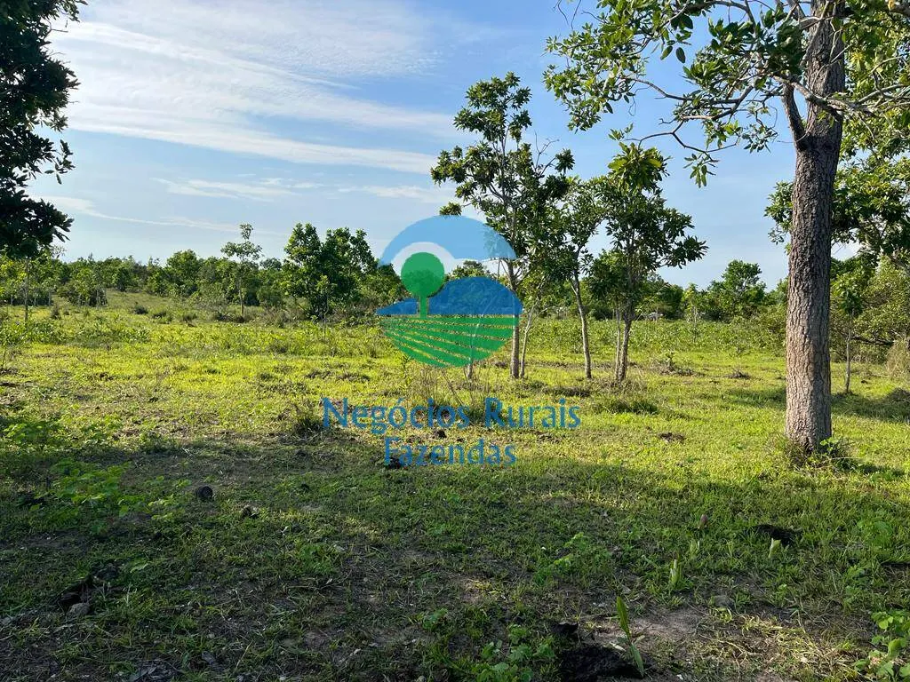 Fazenda à venda de 1.113 ha em Almas, TO, Brasil