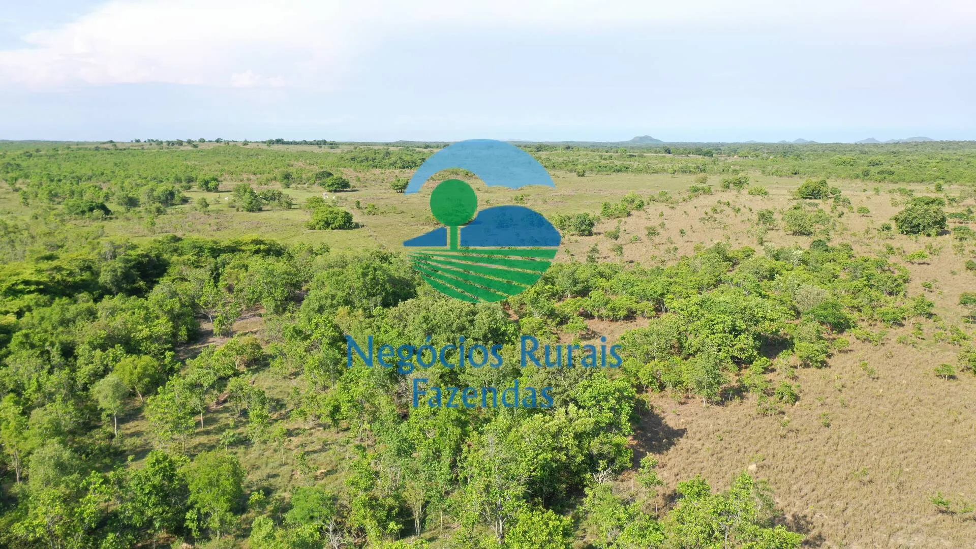 Fazenda à venda de 1.113 ha em Almas, TO, Brasil