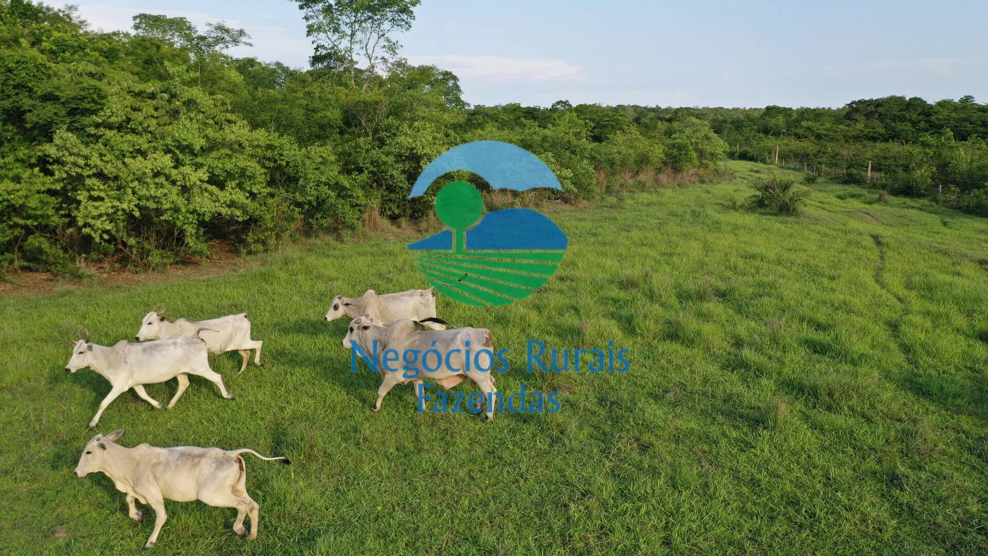 Fazenda à venda de 1.113 ha em Almas, TO, Brasil