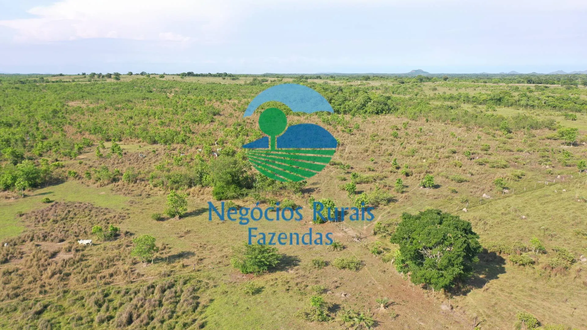 Fazenda à venda de 1.113 ha em Almas, TO, Brasil