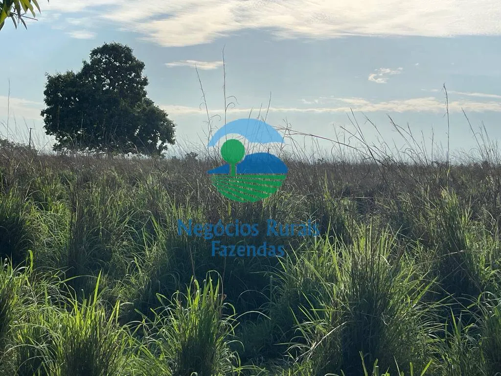 Fazenda à venda de 1.113 ha em Almas, TO, Brasil