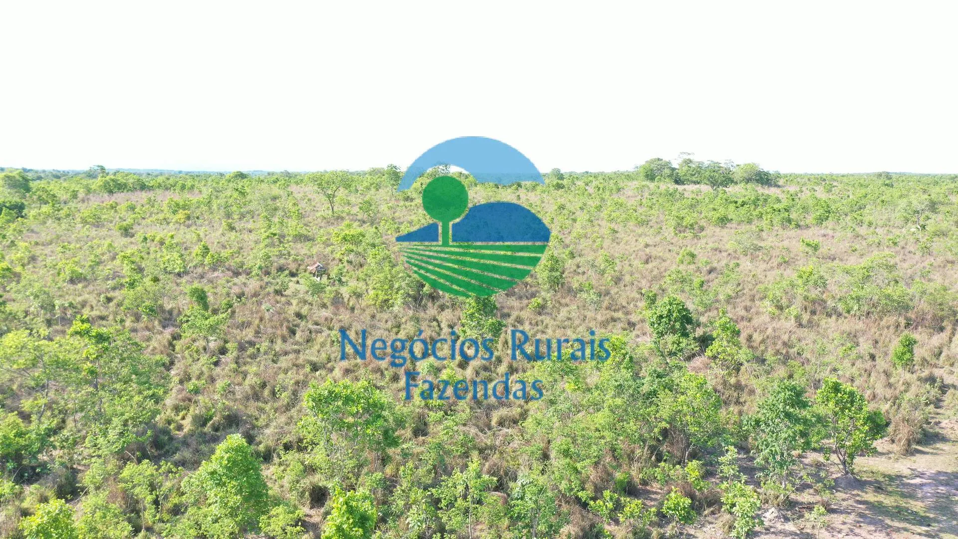 Fazenda à venda de 1.113 ha em Almas, TO, Brasil