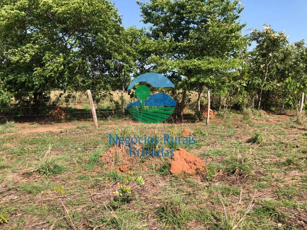Fazenda à venda de 1.113 ha em Almas, TO, Brasil