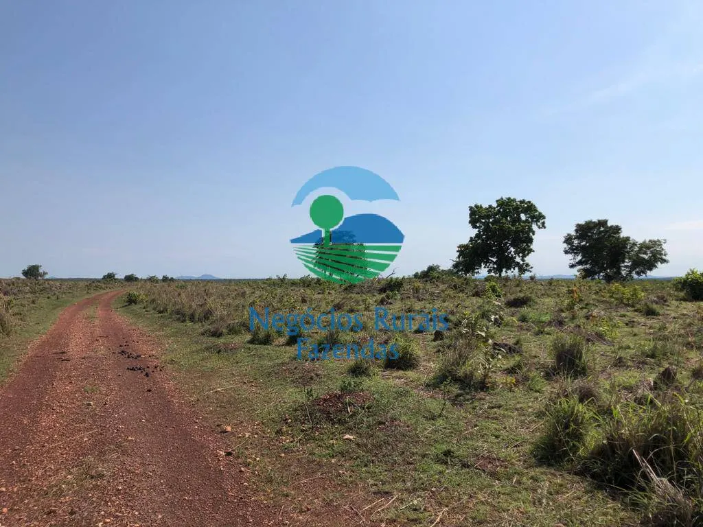 Fazenda à venda de 1.113 ha em Almas, TO, Brasil