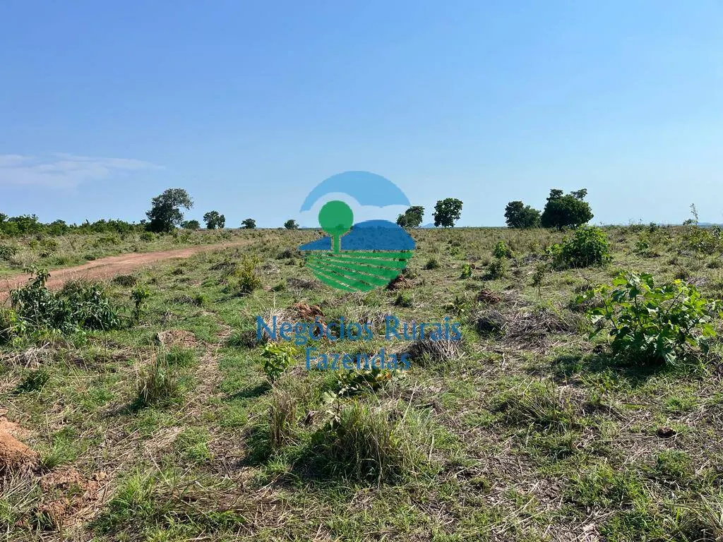 Fazenda à venda de 1.113 ha em Almas, TO, Brasil