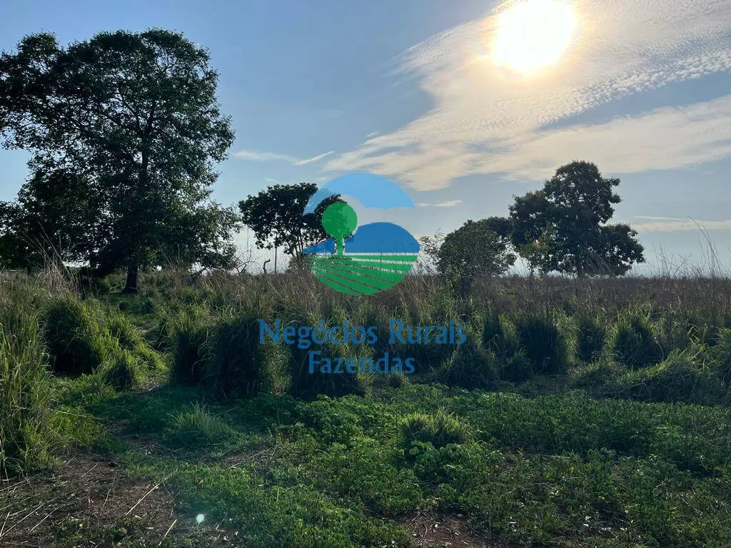 Fazenda à venda de 1.113 ha em Almas, TO, Brasil