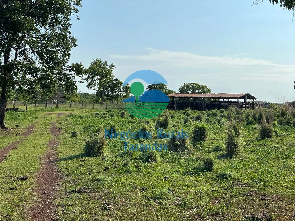 Fazenda à venda de 1.113 ha em Almas, TO, Brasil