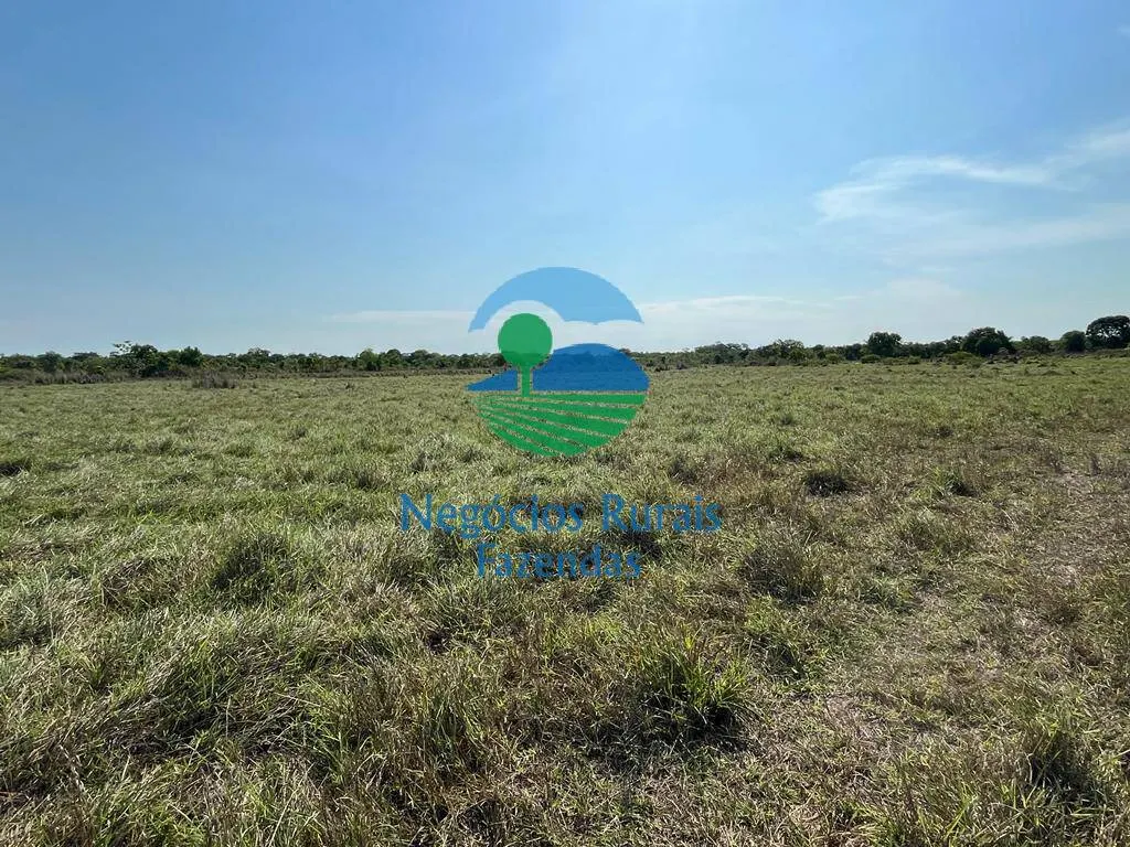 Fazenda à venda de 1.113 ha em Almas, TO, Brasil