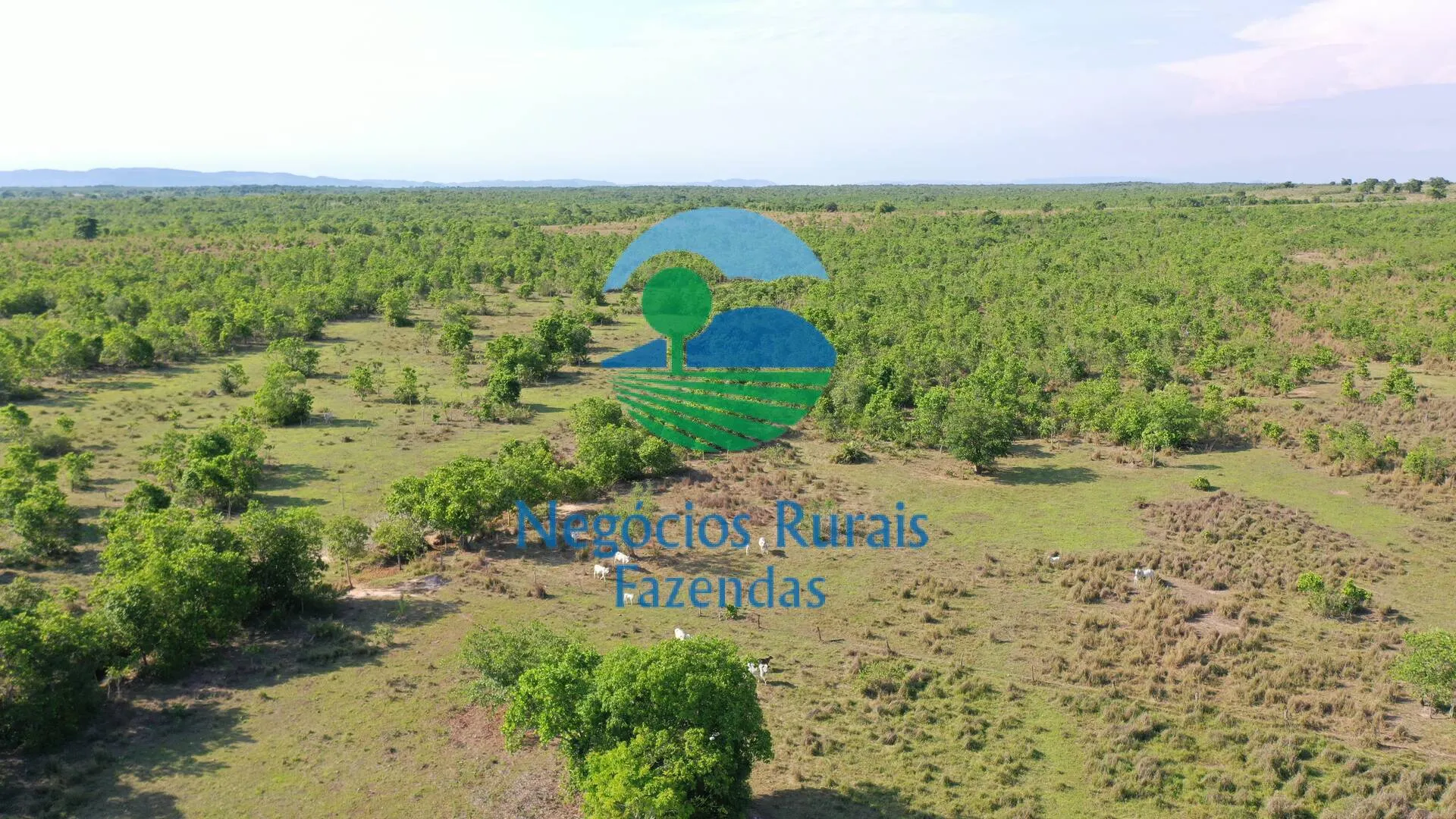Fazenda à venda de 1.113 ha em Almas, TO, Brasil