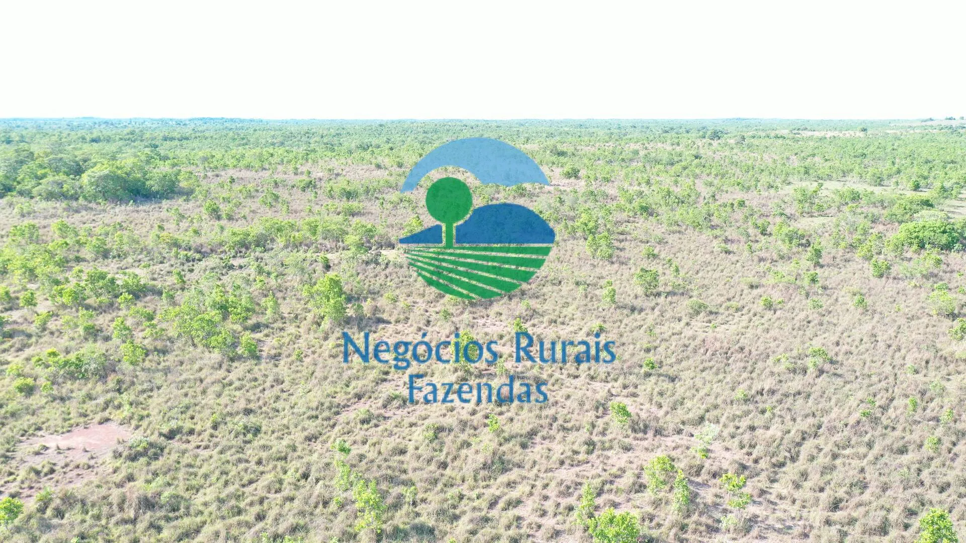 Fazenda à venda de 1.113 ha em Almas, TO, Brasil