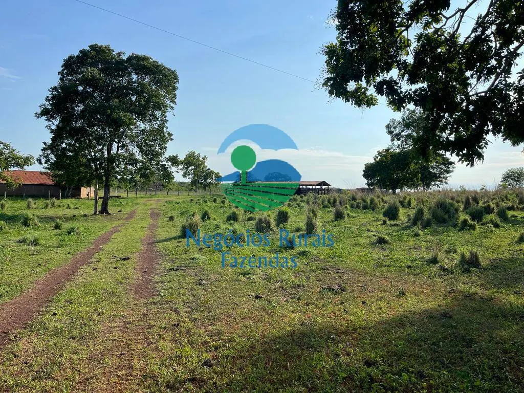 Fazenda à venda de 1.113 ha em Almas, TO, Brasil