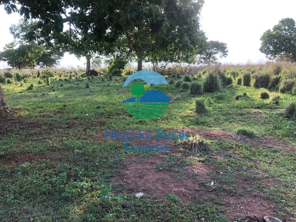 Fazenda à venda de 1.113 ha em Almas, TO, Brasil