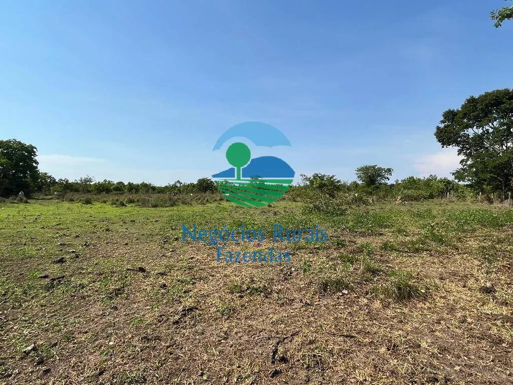 Fazenda à venda de 1.113 ha em Almas, TO, Brasil