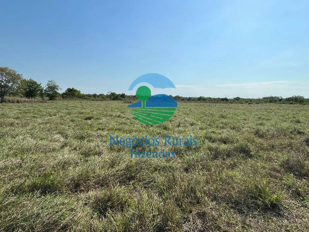 Fazenda à venda de 1.113 ha em Almas, TO, Brasil