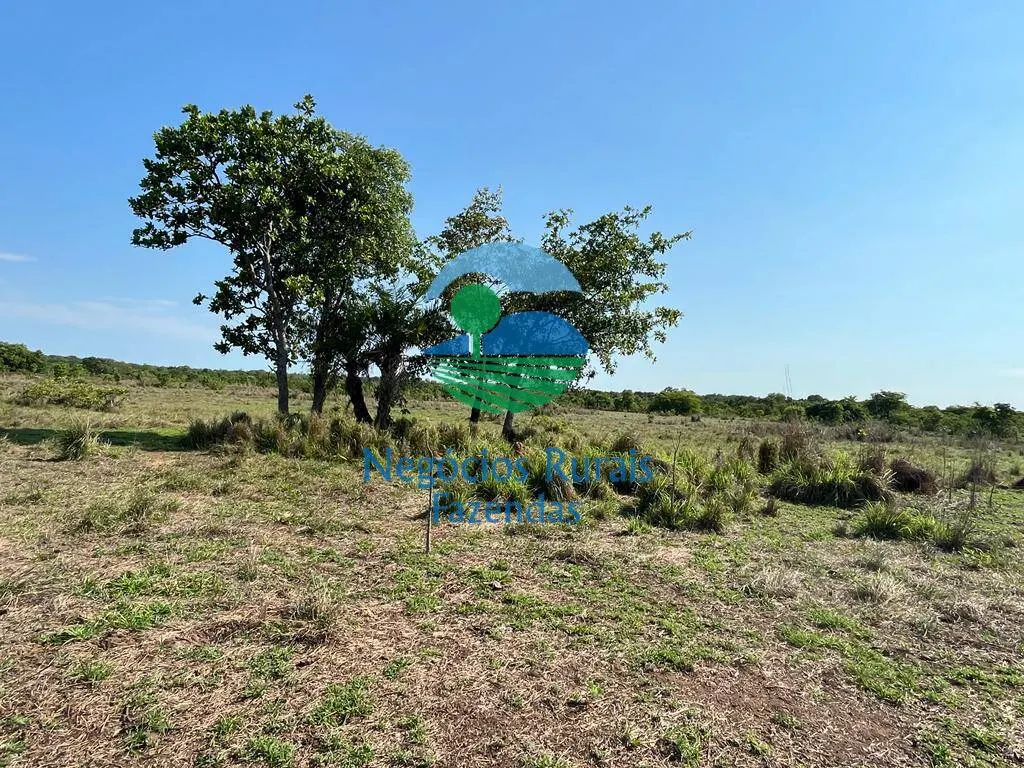 Fazenda à venda de 1.113 ha em Almas, TO, Brasil