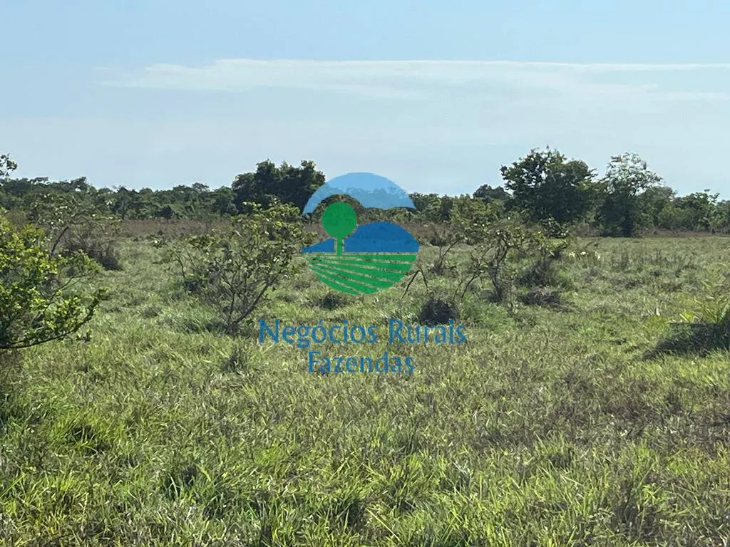 Fazenda à venda de 1.113 ha em Almas, TO, Brasil