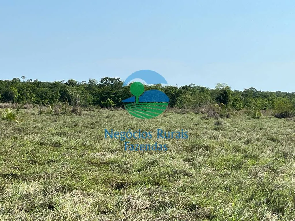 Fazenda à venda de 1.113 ha em Almas, TO, Brasil