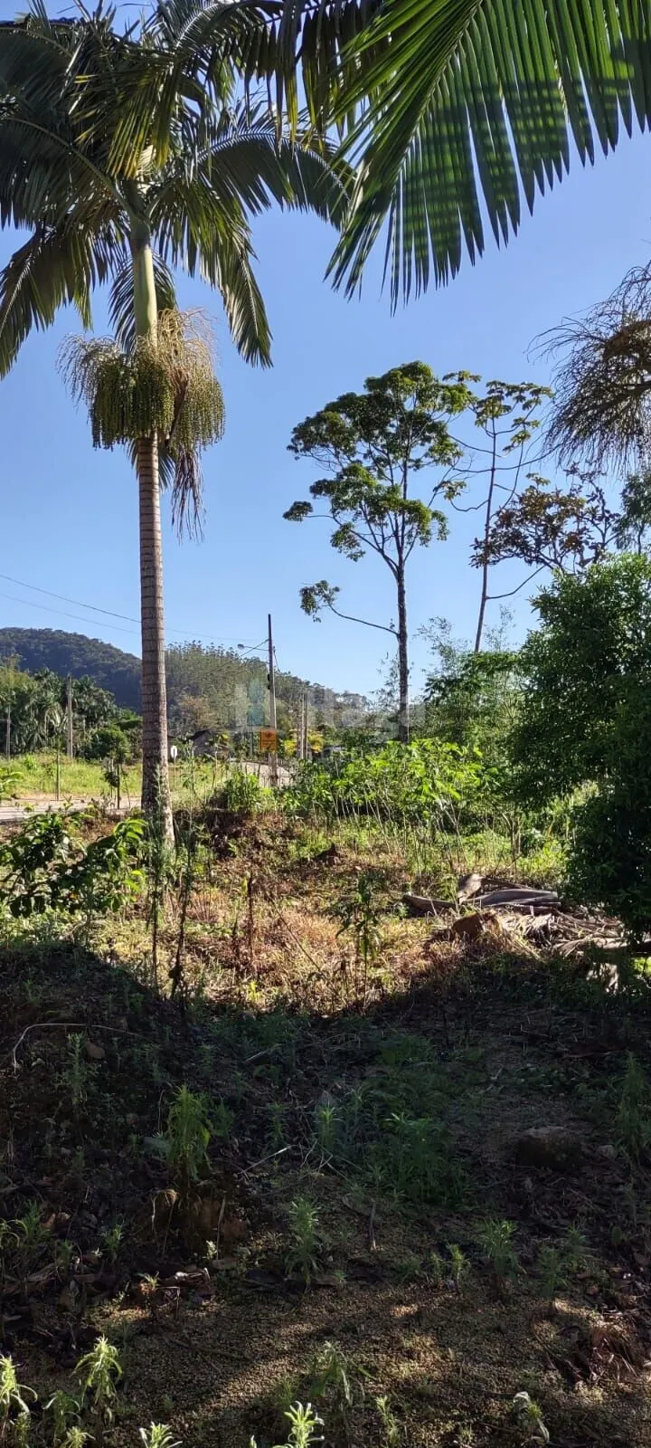 Terreno à venda de 600 m² em Guabiruba, SC, Brasil