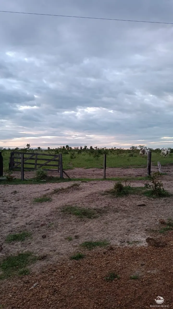 Fazenda à venda de 5.000 ha em São Félix do Araguaia, MT, Brasil