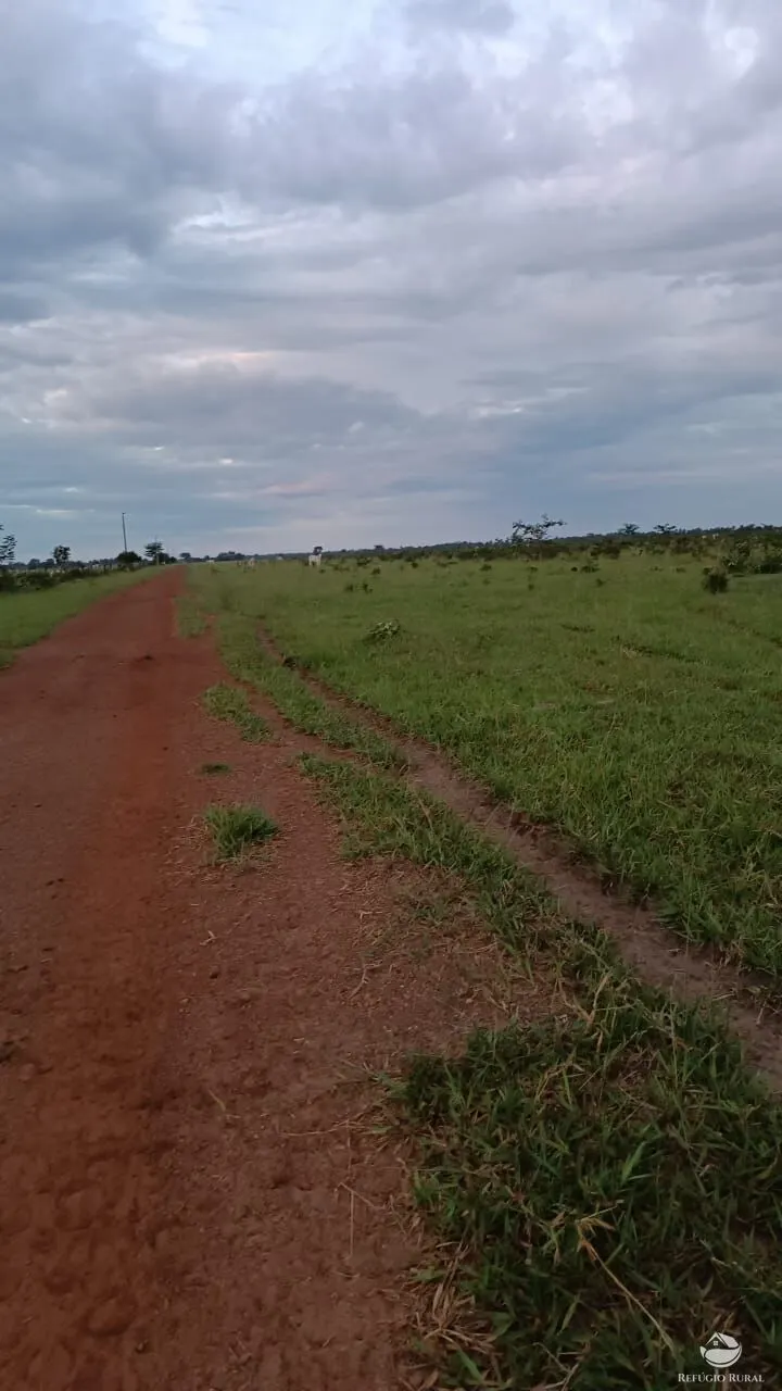 Fazenda à venda de 5.000 ha em São Félix do Araguaia, MT, Brasil