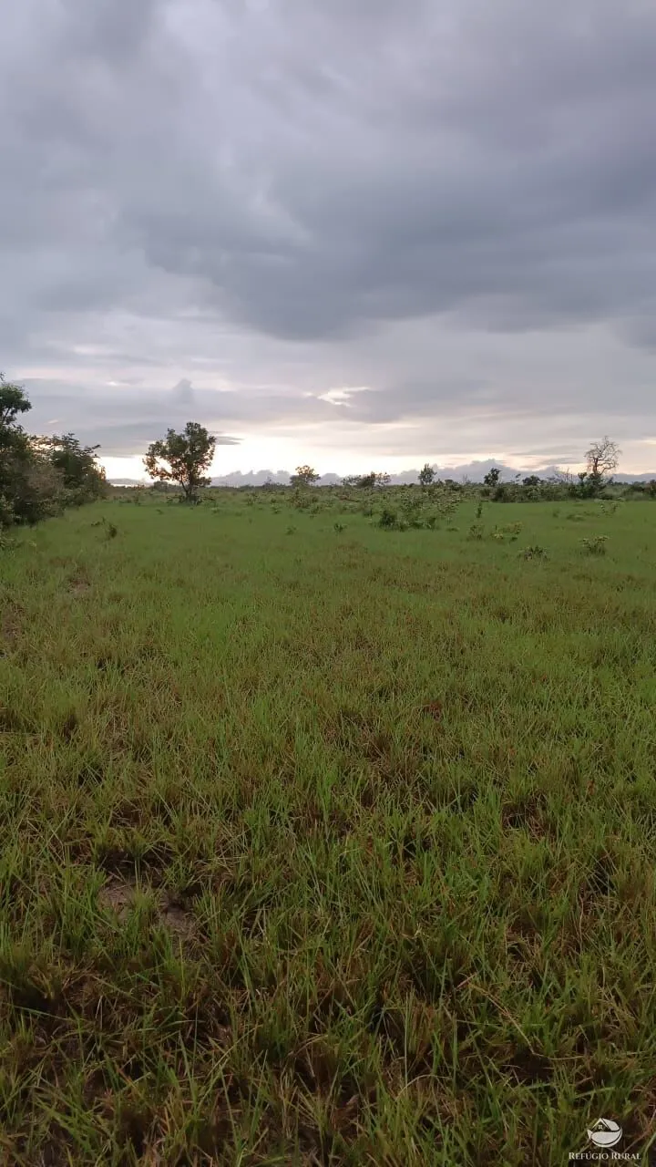 Fazenda à venda de 5.000 ha em São Félix do Araguaia, MT, Brasil
