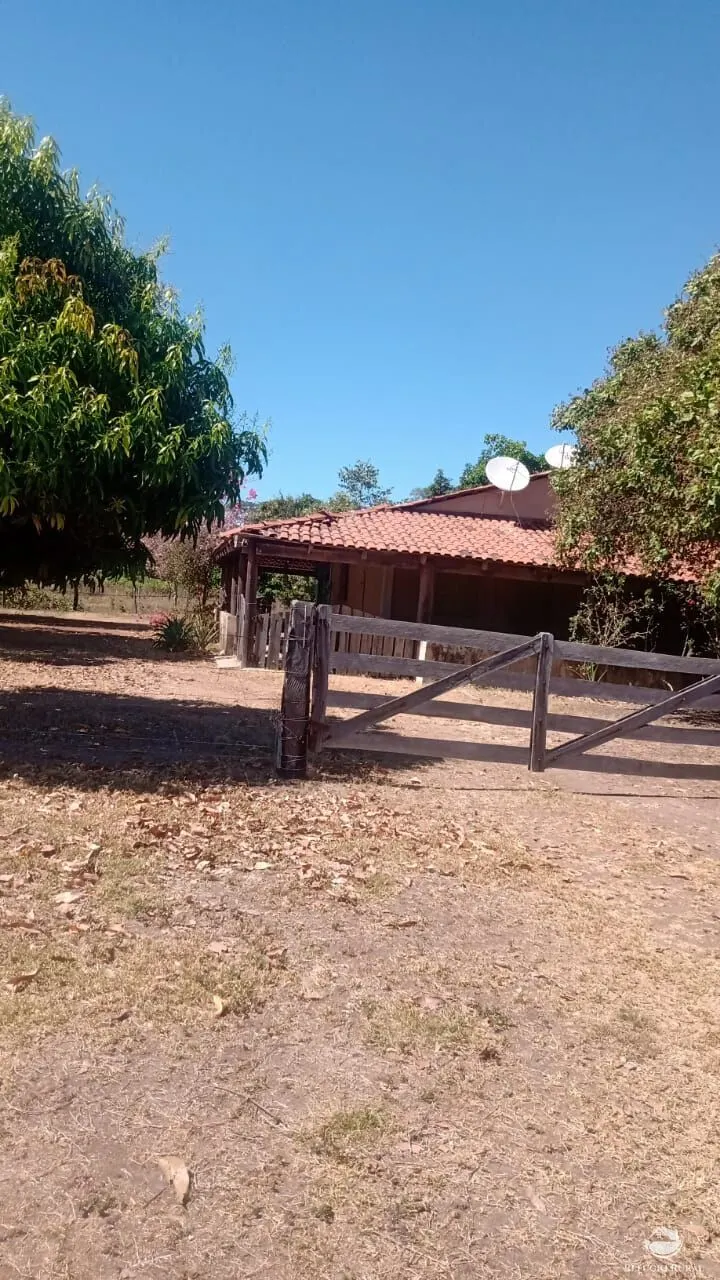 Fazenda à venda de 5.000 ha em São Félix do Araguaia, MT, Brasil