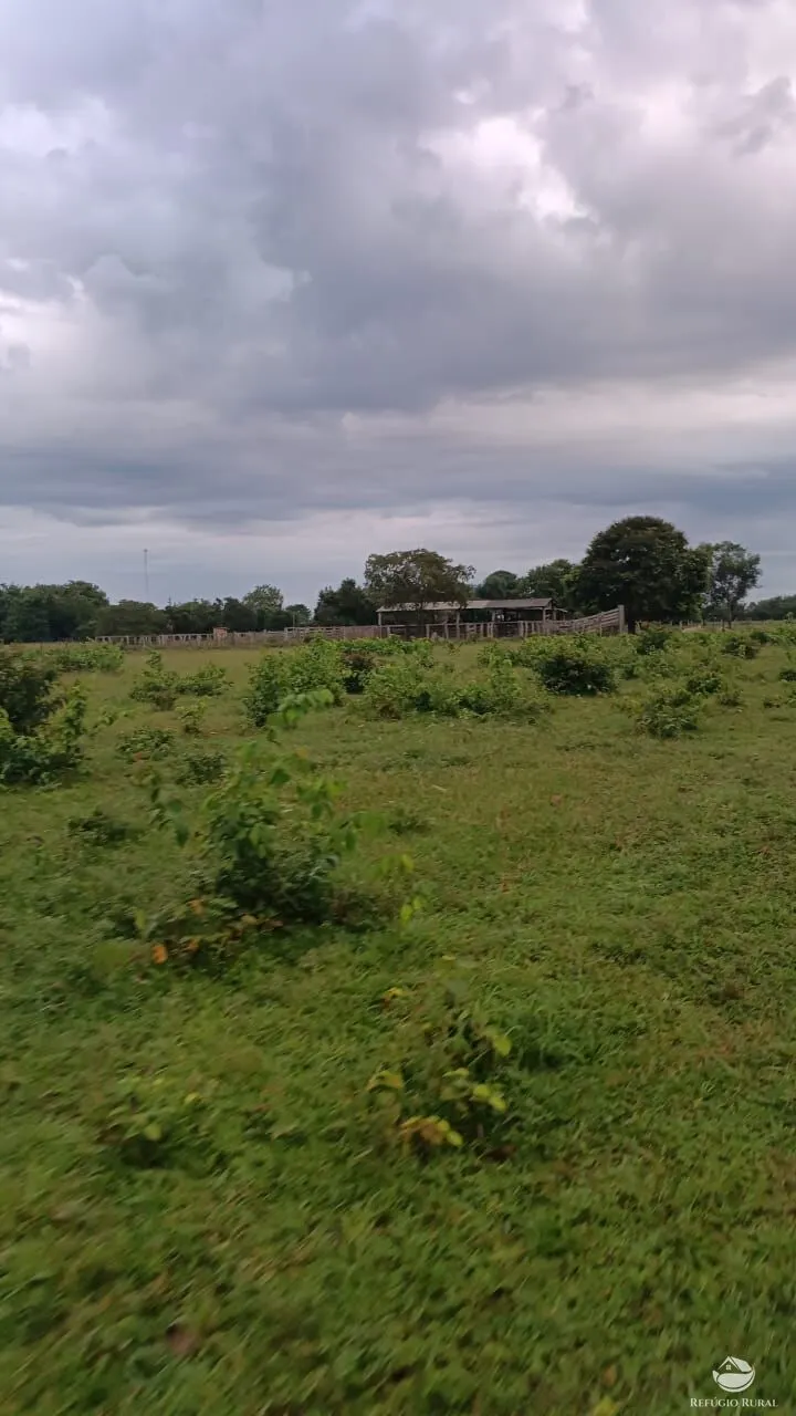 Fazenda à venda de 5.000 ha em São Félix do Araguaia, MT, Brasil