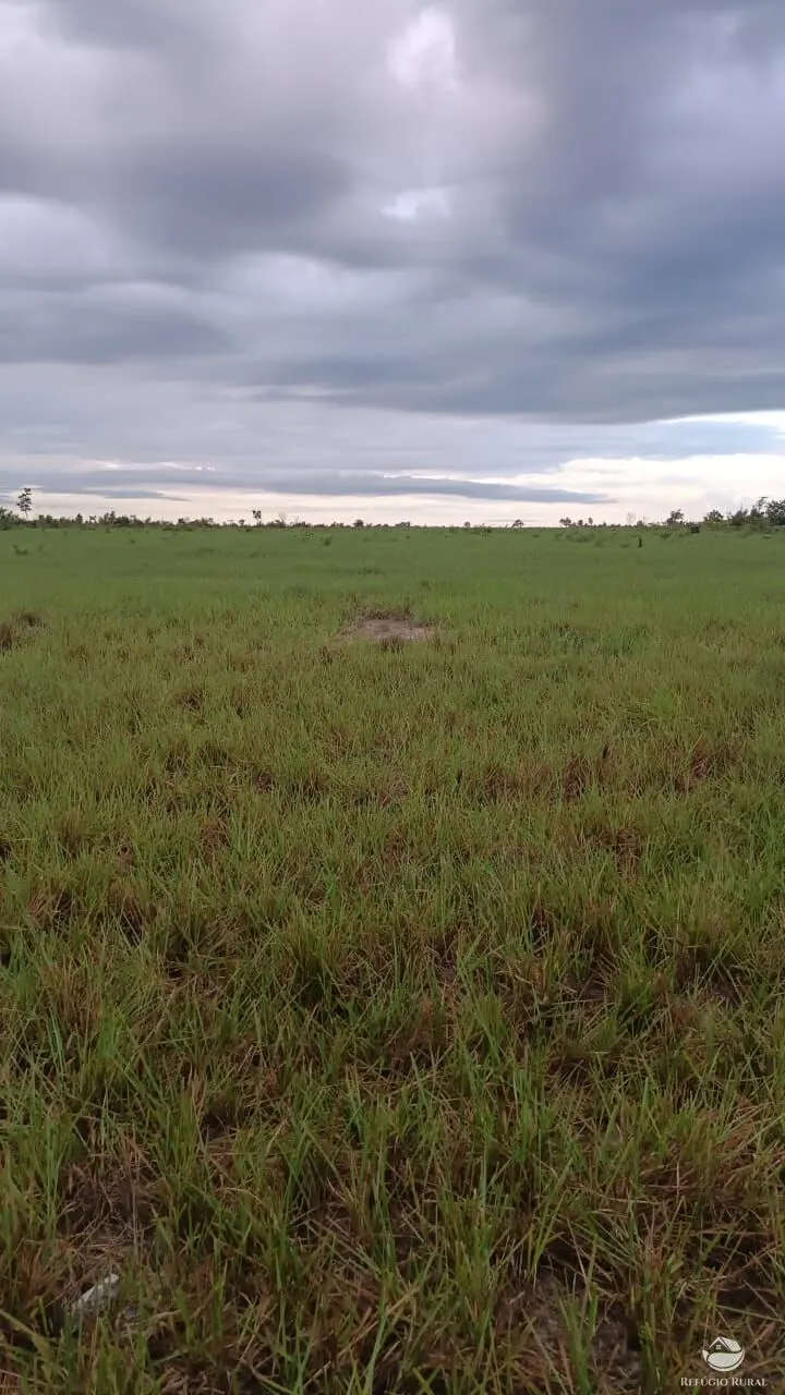 Fazenda à venda de 5.000 ha em São Félix do Araguaia, MT, Brasil