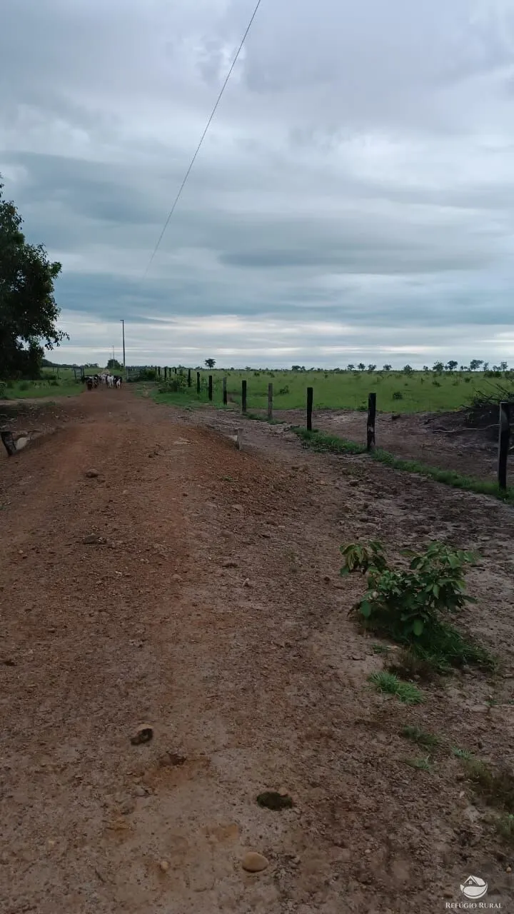 Fazenda à venda de 5.000 ha em São Félix do Araguaia, MT, Brasil