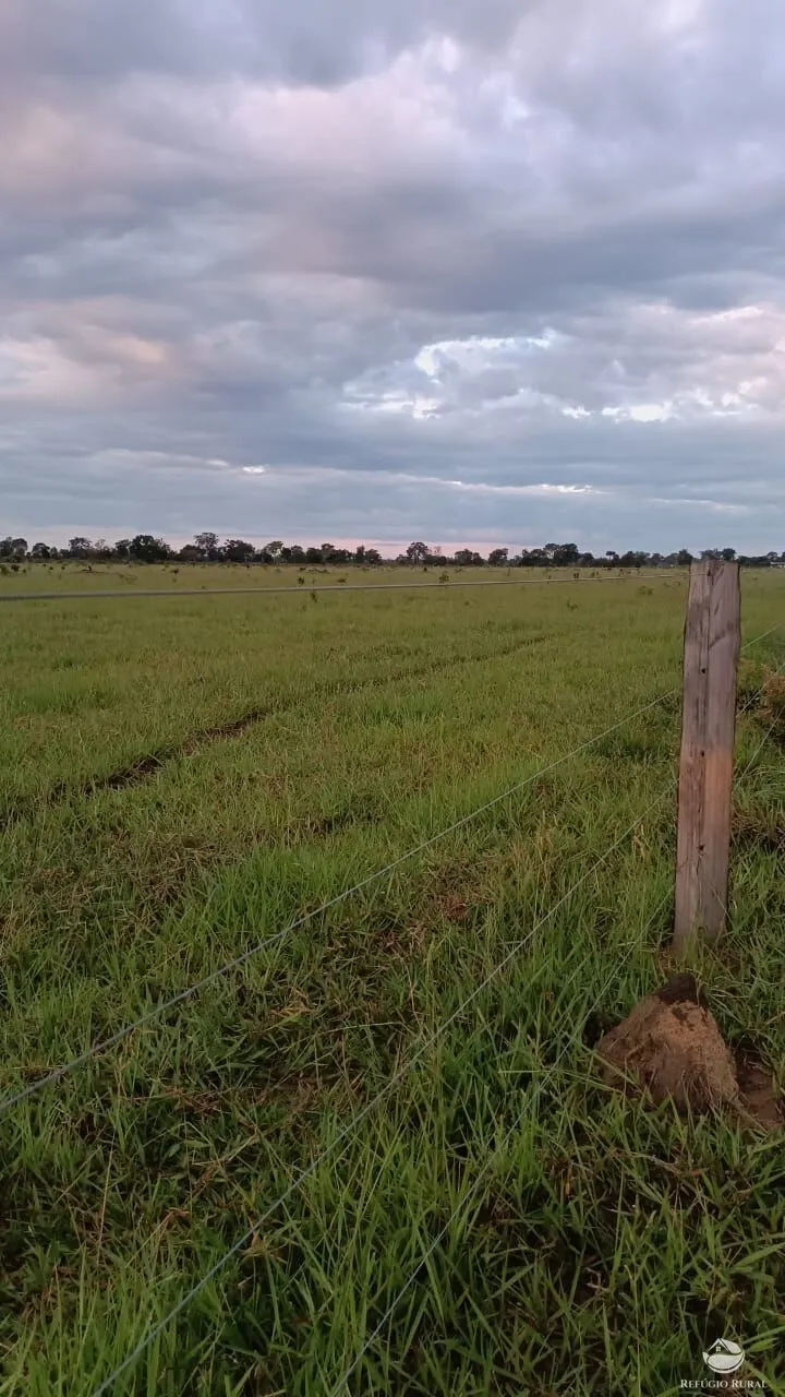 Fazenda à venda de 5.000 ha em São Félix do Araguaia, MT, Brasil