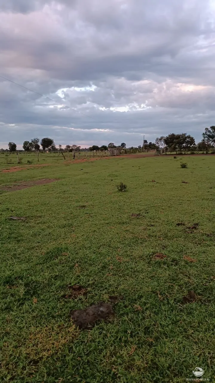 Fazenda à venda de 5.000 ha em São Félix do Araguaia, MT, Brasil