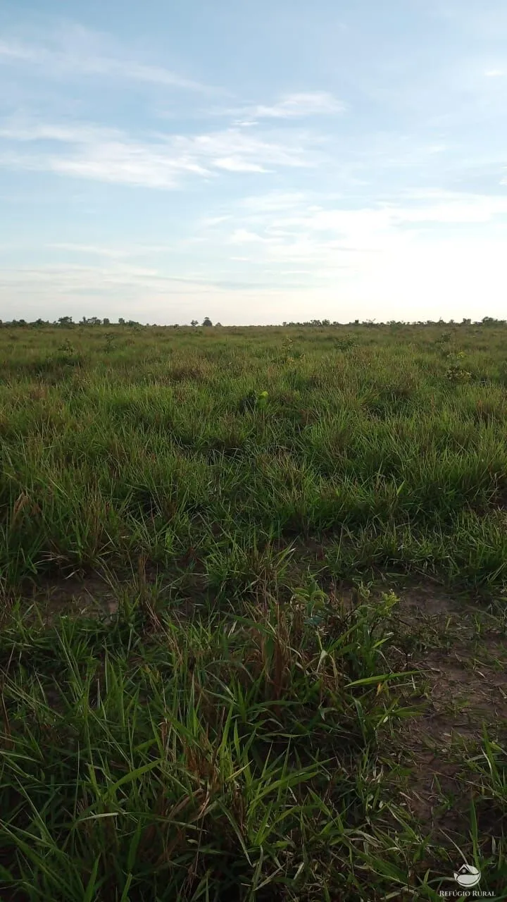 Fazenda à venda de 5.000 ha em São Félix do Araguaia, MT, Brasil