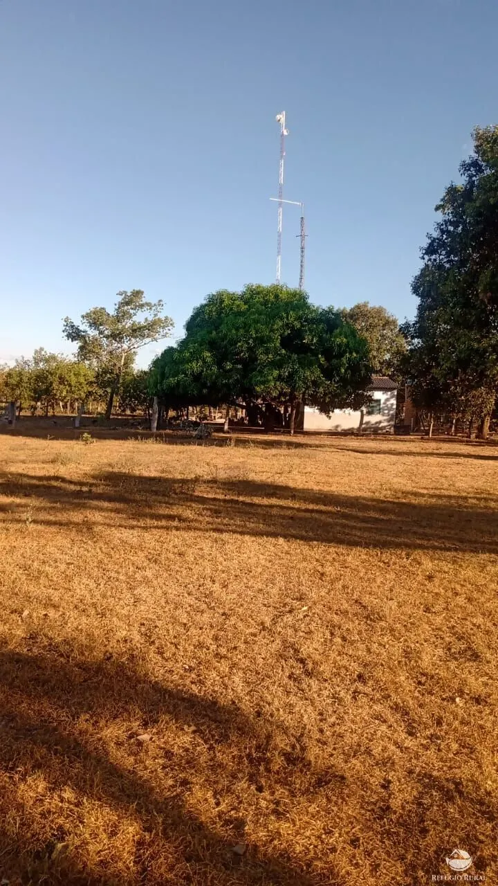Fazenda à venda de 5.000 ha em São Félix do Araguaia, MT, Brasil