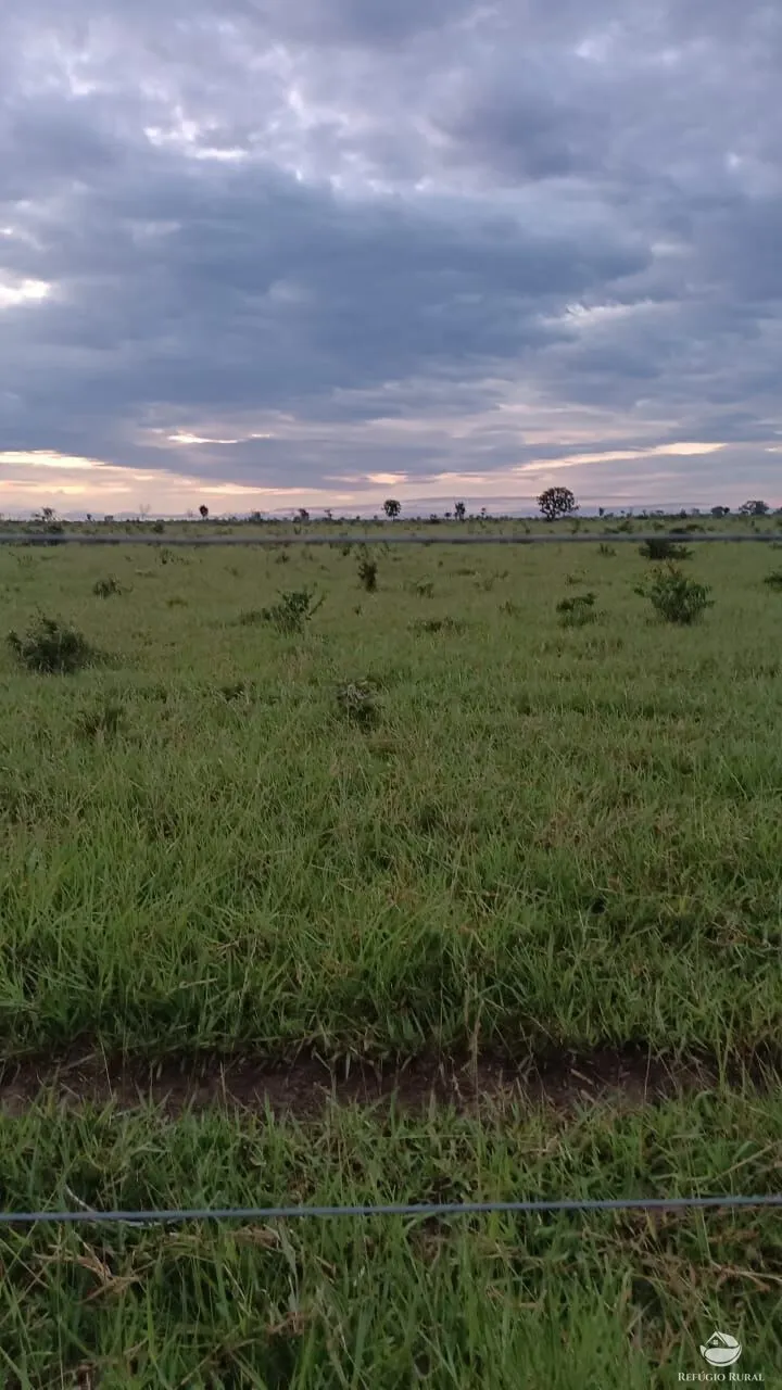 Fazenda à venda de 5.000 ha em São Félix do Araguaia, MT, Brasil