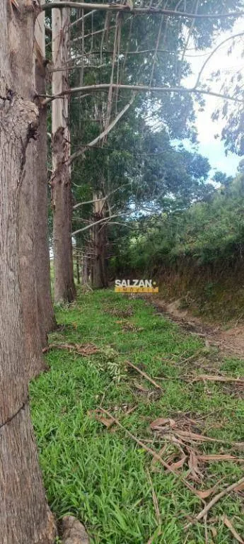 Sítio à venda de 12 ha em Natividade da Serra, SP, Brasil