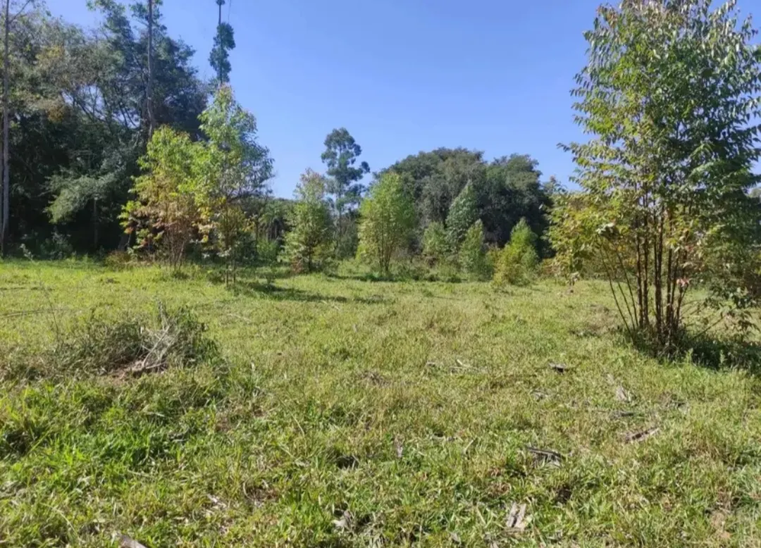 Fazenda à venda de 114 ha em São João del Rei, MG, Brasil