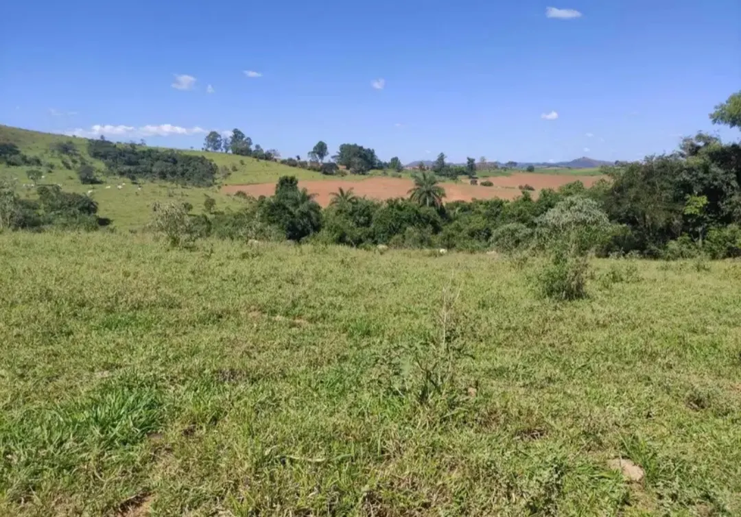 Fazenda à venda de 114 ha em São João del Rei, MG, Brasil