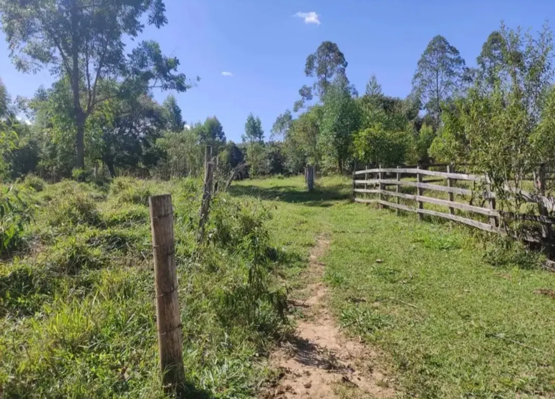 Fazenda à venda de 114 ha em São João del Rei, MG, Brasil