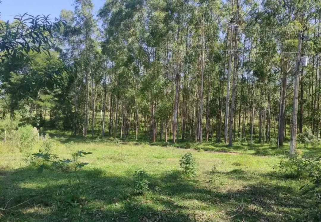 Fazenda à venda de 114 ha em São João del Rei, MG, Brasil
