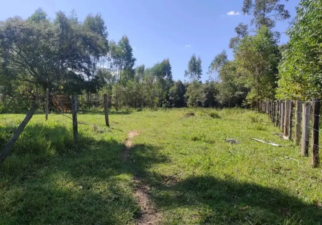 Fazenda à venda de 114 ha em São João del Rei, MG, Brasil