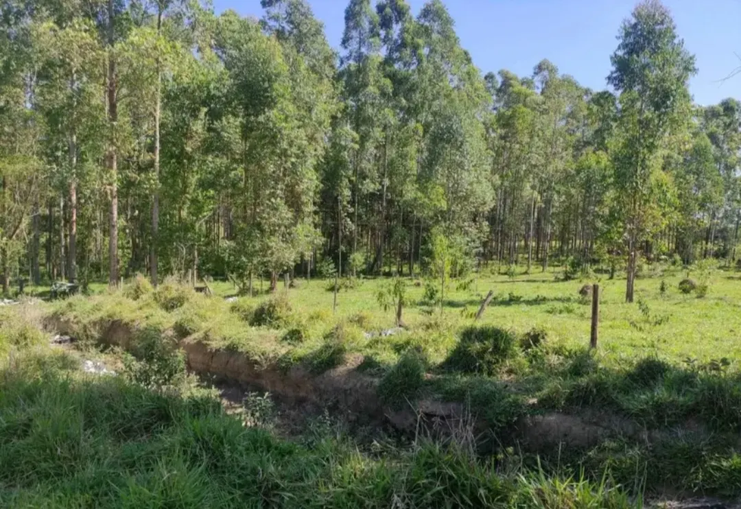 Fazenda à venda de 114 ha em São João del Rei, MG, Brasil