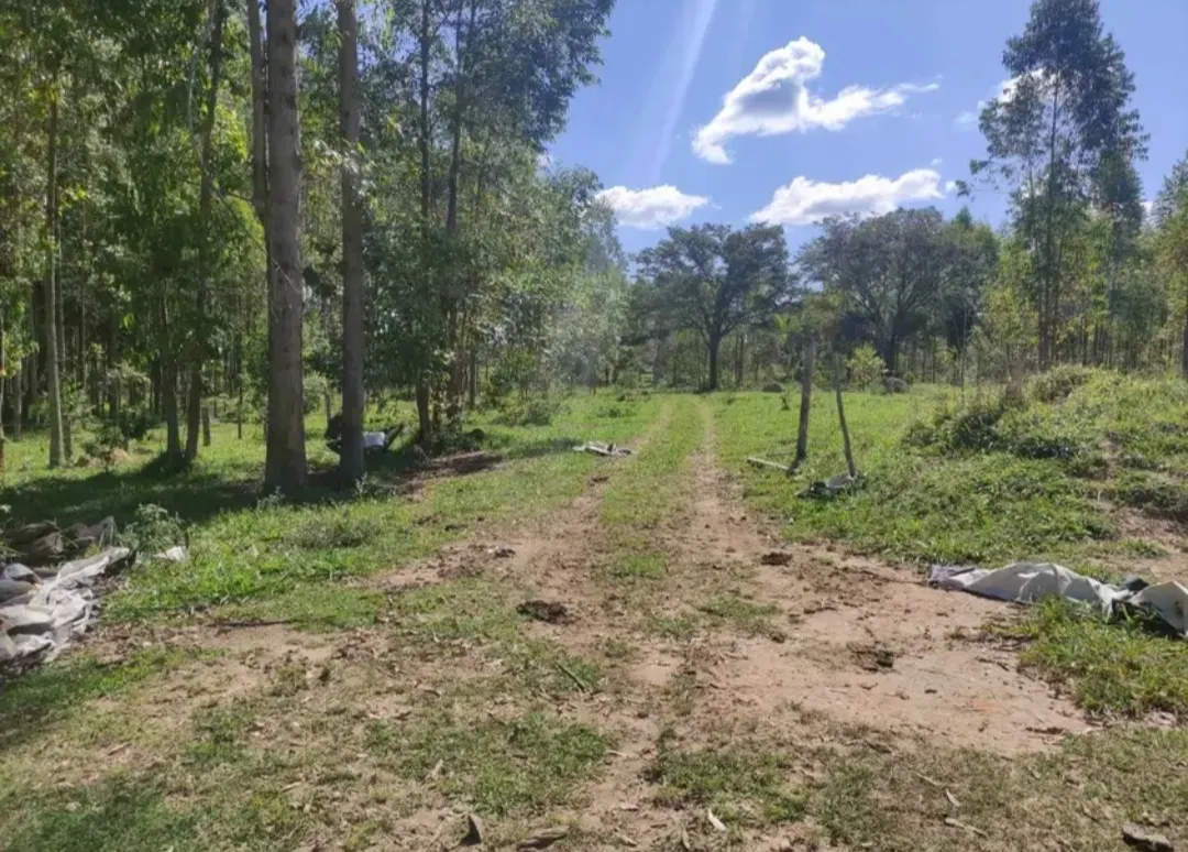 Fazenda à venda de 114 ha em São João del Rei, MG, Brasil