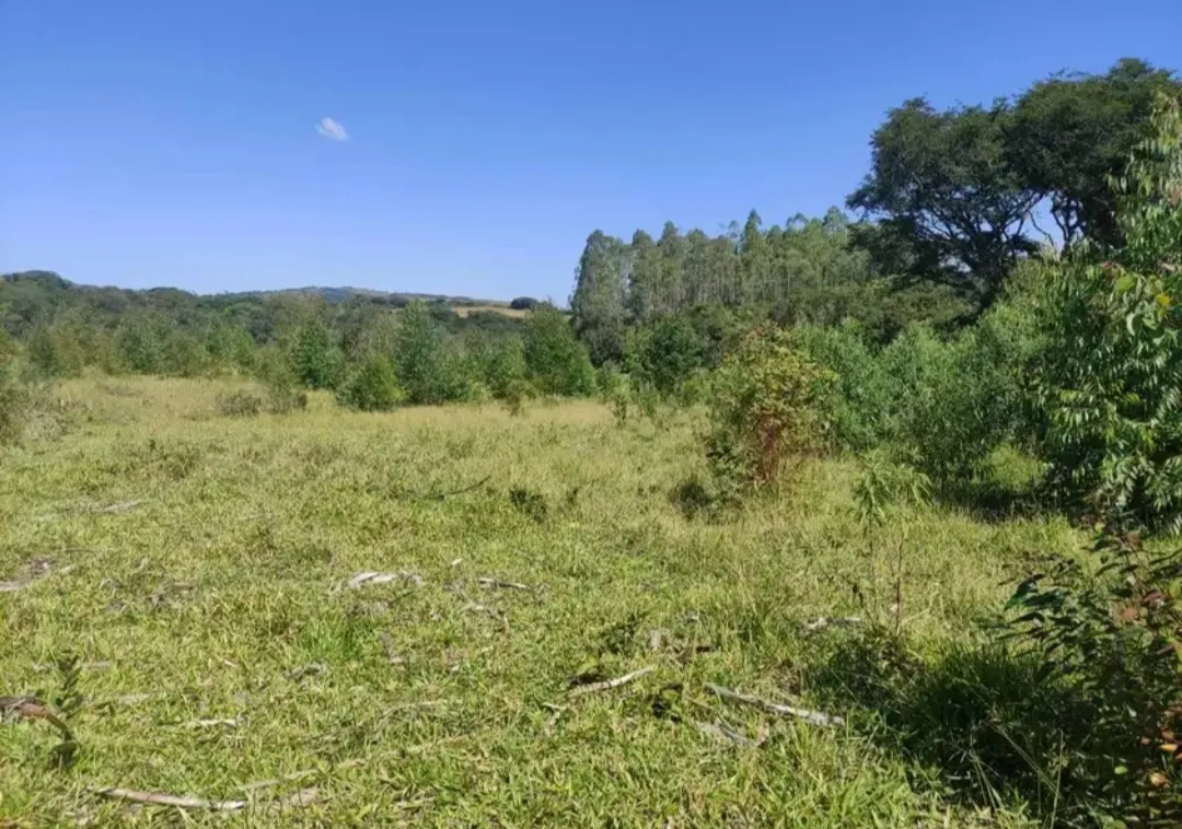 Fazenda à venda de 114 ha em São João del Rei, MG, Brasil
