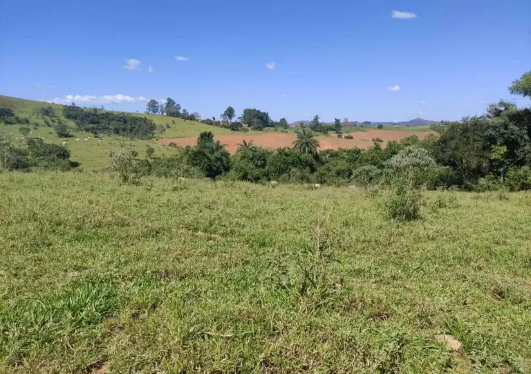 Fazenda à venda de 114 ha em São João del Rei, MG, Brasil