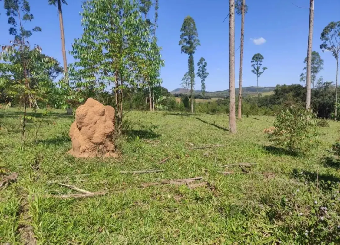 Fazenda à venda de 114 ha em São João del Rei, MG, Brasil
