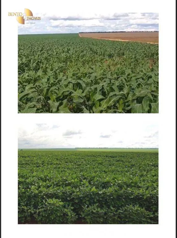 Fazenda à venda de 9.500 ha em Campos de Júlio, MT, Brasil