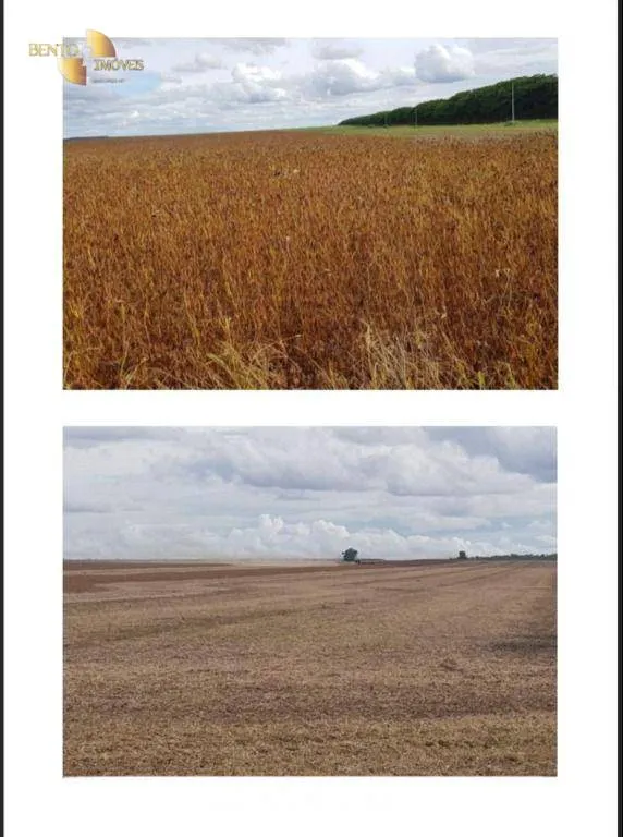 Fazenda à venda de 9.500 ha em Campos de Júlio, MT, Brasil
