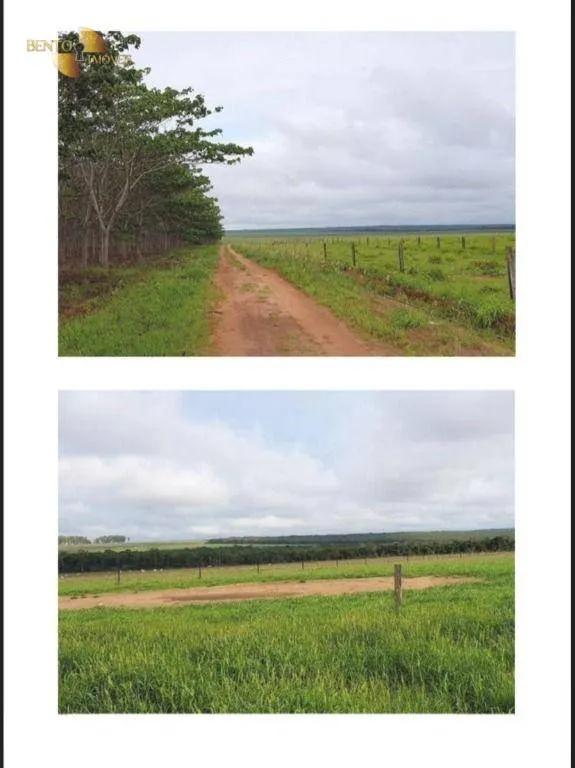 Fazenda à venda de 9.500 ha em Campos de Júlio, MT, Brasil