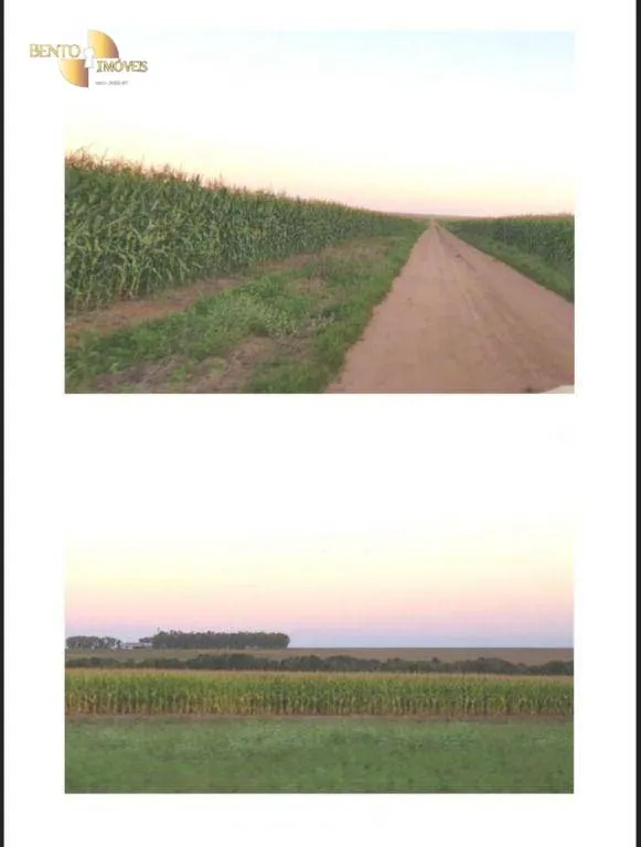 Fazenda à venda de 9.500 ha em Campos de Júlio, MT, Brasil