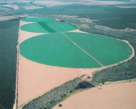 Fazenda à venda de 215 ha em Uberlândia, MG, Brasil